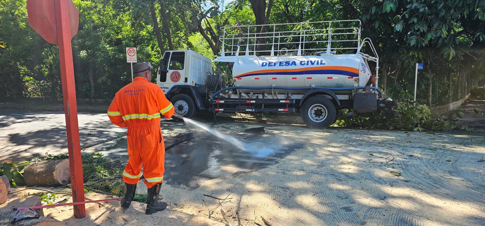 Defesa Civil de Ibaté remove árvore caída no Jardim Menzani