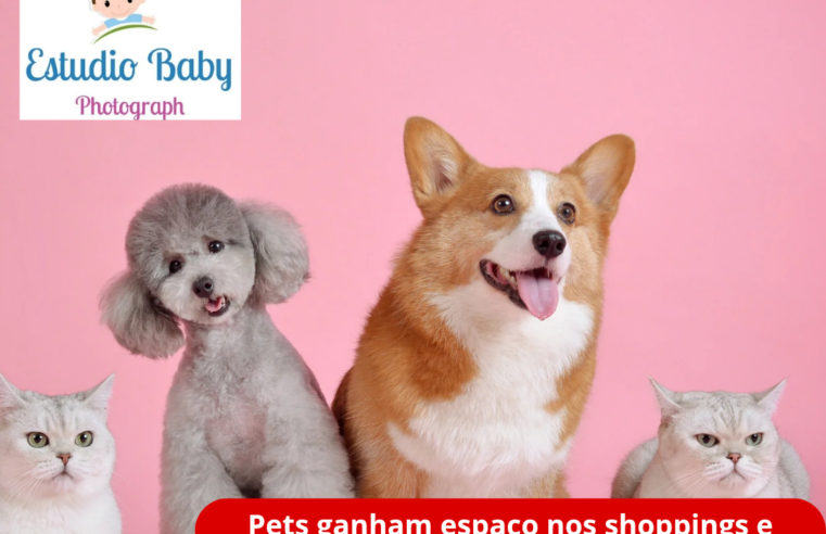 Pets ganham espaço nos shoppings e refletem novos formatos de família