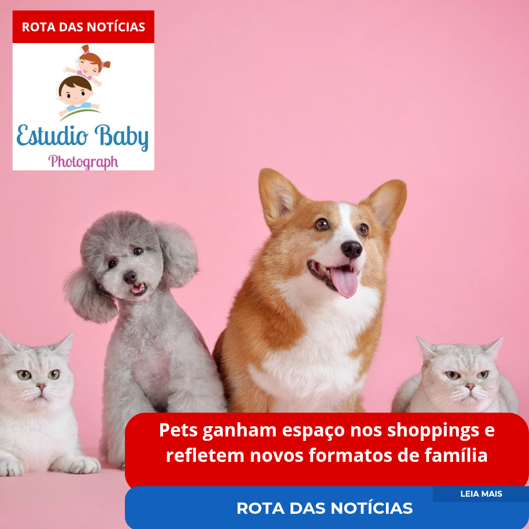 Pets ganham espaço nos shoppings e refletem novos formatos de família
