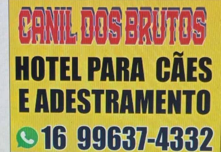 🐾 Pensou em viajar no Carnaval? O Canil dos Brutos cuida do seu melhor amigo! 🐾