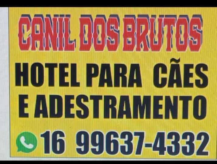 🐾 Pensou em viajar no Carnaval? O Canil dos Brutos cuida do seu melhor amigo! 🐾