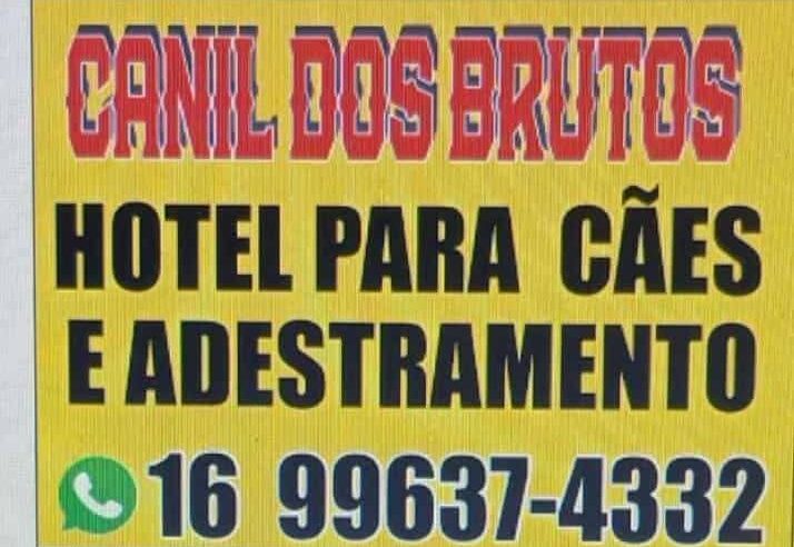 🐶🎯 Disciplina, obediência e equilíbrio para o seu melhor amigo!