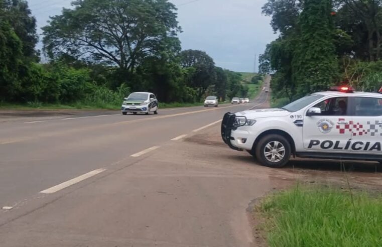 🚨 Polícia Militar resgata cadela abandonada às margens da SP-215 em São Carlos