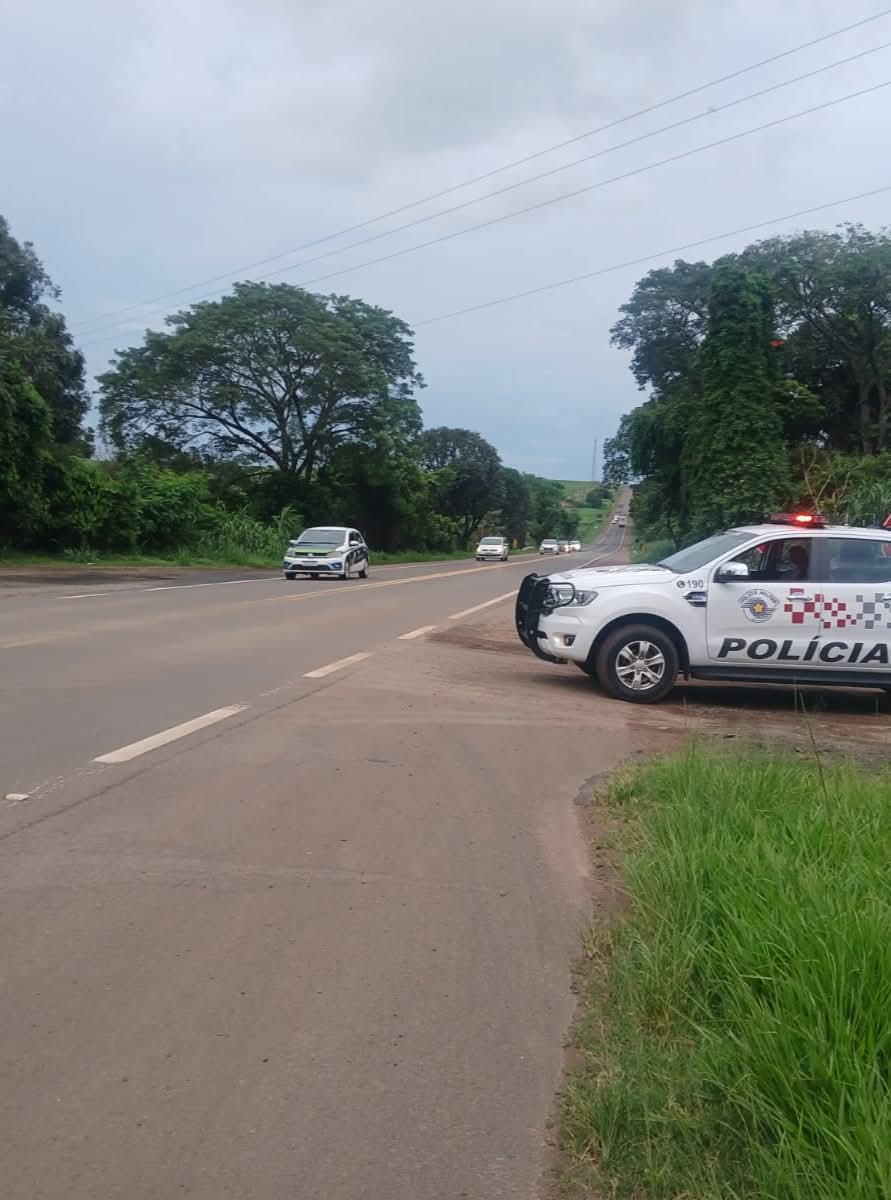 🚨 Polícia Militar resgata cadela abandonada às margens da SP-215 em São Carlos