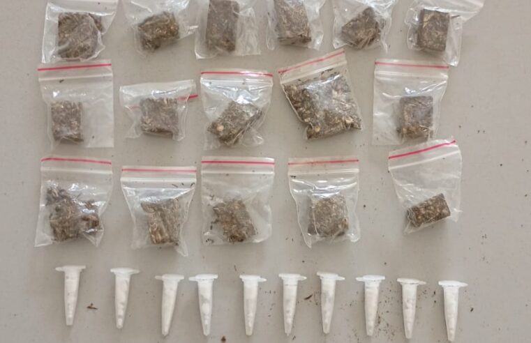 Guarda Civil Municipal apreende entorpecentes no bairro CDHU