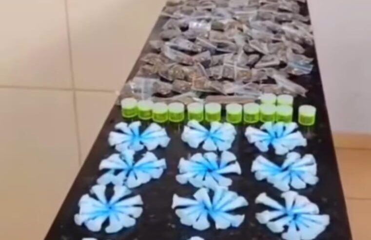 Canil da Guarda Municipal localiza grande quantidade de drogas em terreno no São Carlos 5