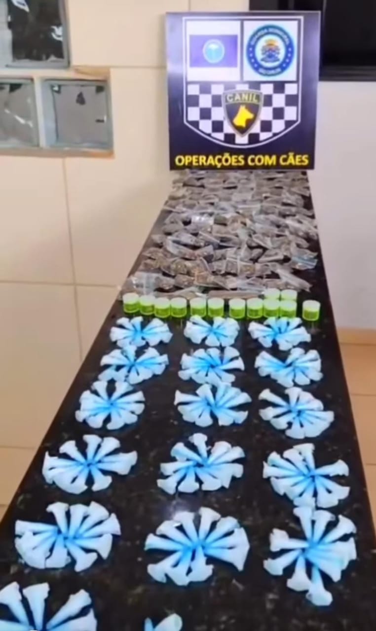 Canil da Guarda Municipal localiza grande quantidade de drogas em terreno no São Carlos 5