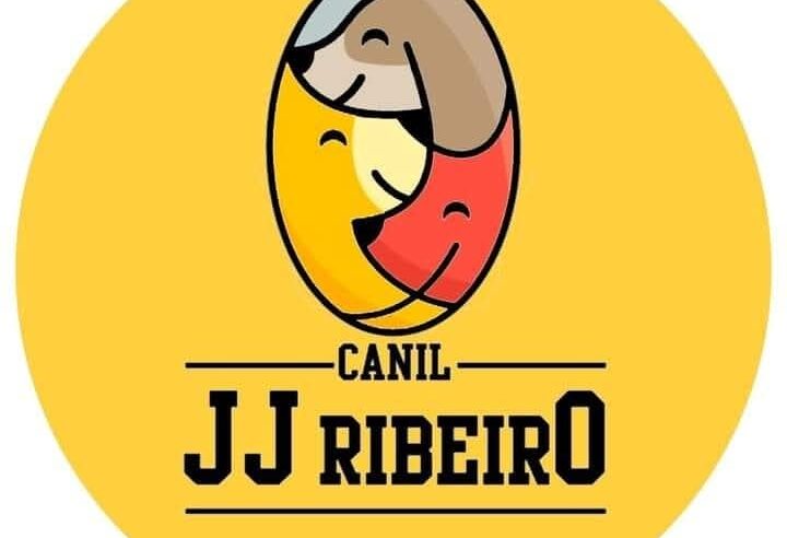 🐾 Filhotes disponíveis no Canil JJ Ribeiro 🐾