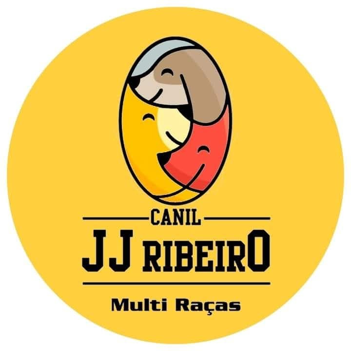 🐾 Filhotes disponíveis no Canil JJ Ribeiro 🐾