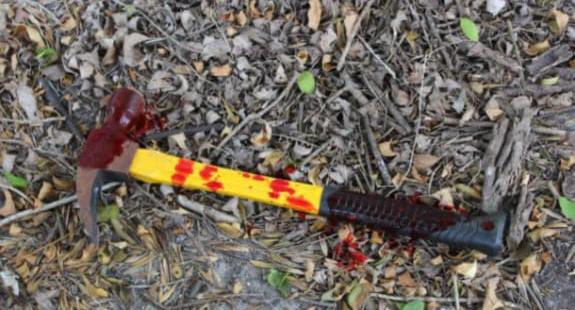 Mulher é presa após ferir companheiro com golpes de martelo em Boa Esperança do Sul