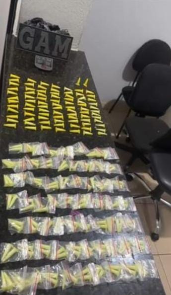 GAM apreende mais de 200 pinos de cocaína escondidos em árvore em São Carlos