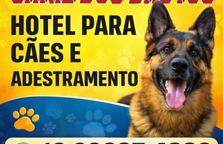 🐾 Treinamento e obediência com Chicão Adestrador 🐾