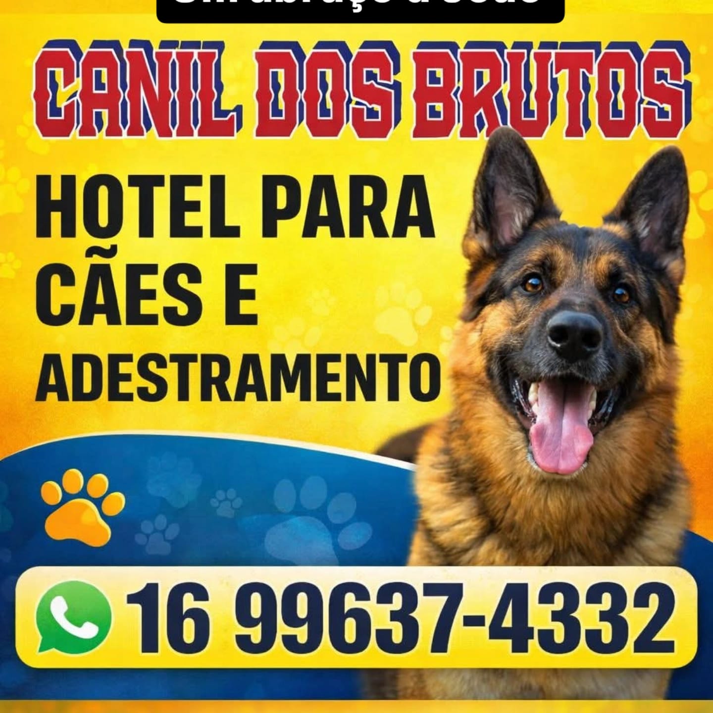 🐕 Segurança e cuidado para o seu melhor amigo 🐾