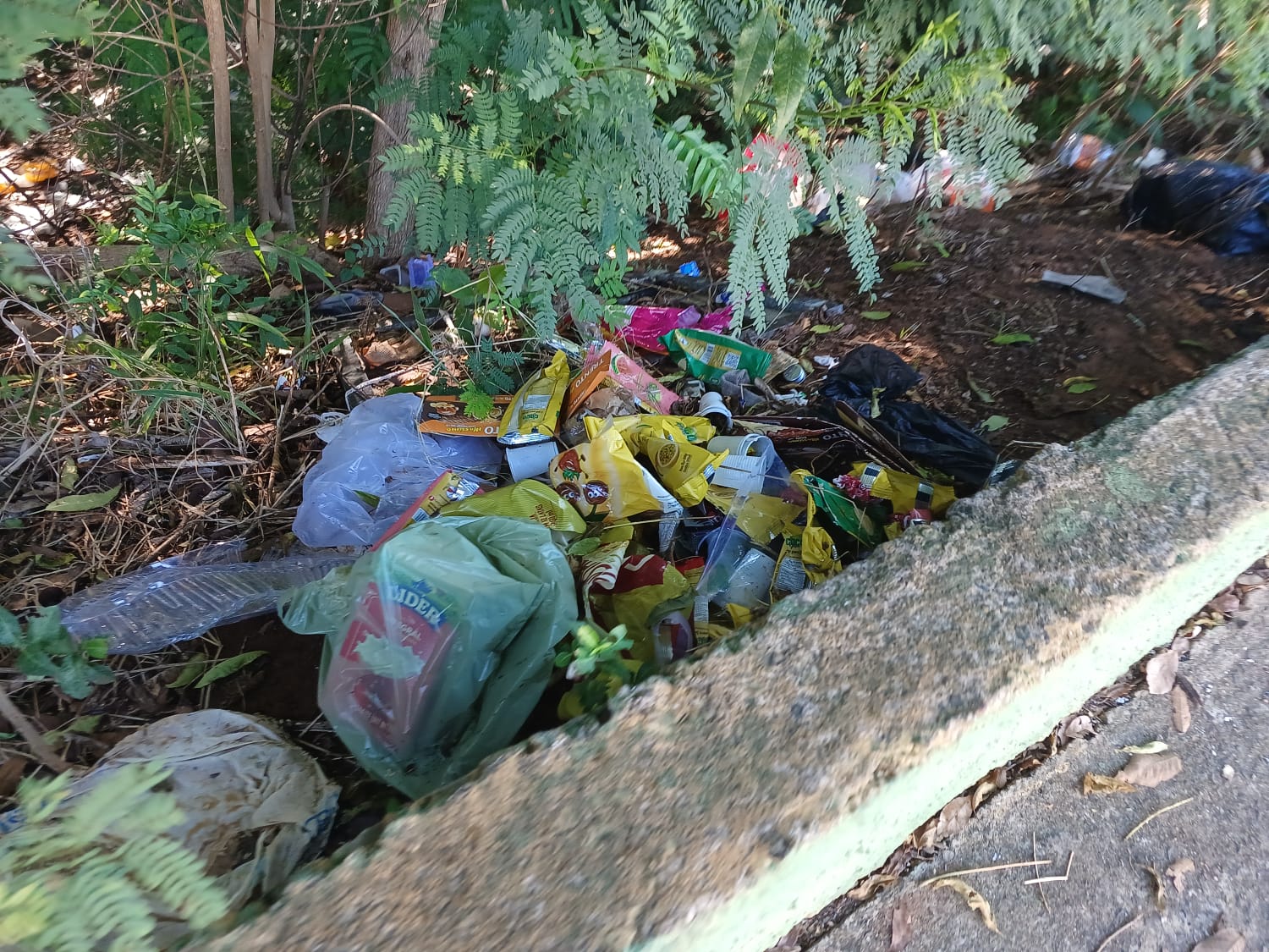 📌 Prefeitura de Ibaté intensifica limpeza no Jardim Icaraí e reforça combate à dengue