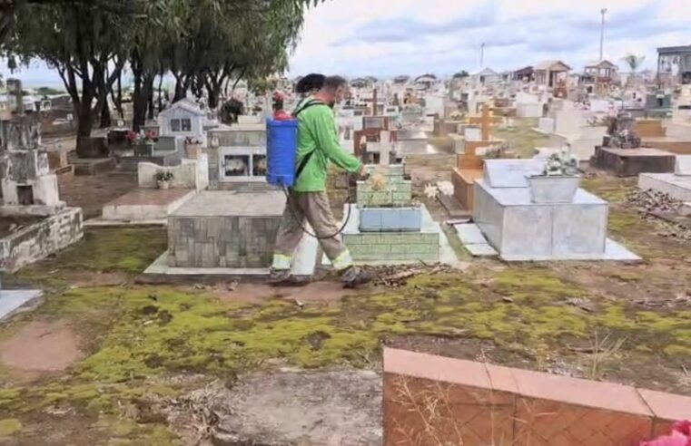 📌 Prefeitura intensifica dedetização em espaços públicos de Ibaté