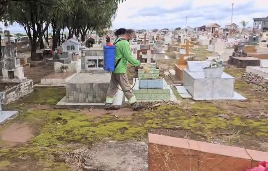 📌 Prefeitura intensifica dedetização em espaços públicos de Ibaté