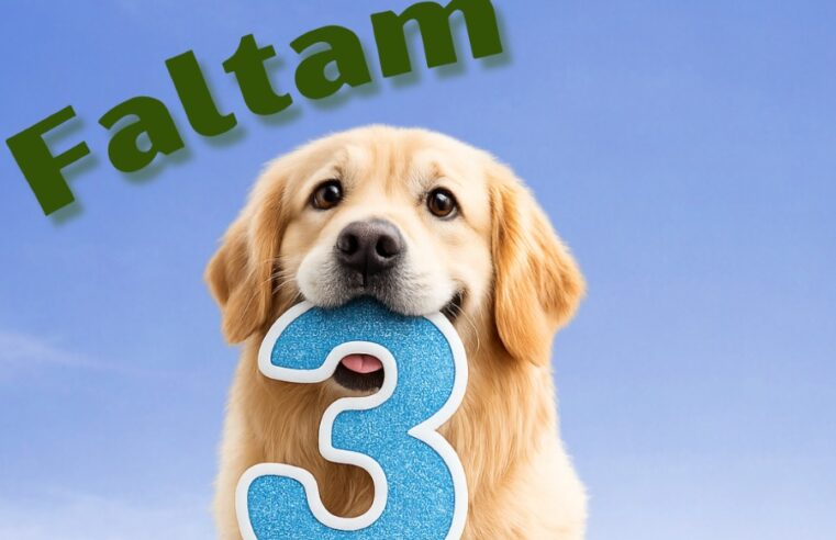 🐾 Feira de adoção pet será realizada neste sábado em Ibaté 🐾