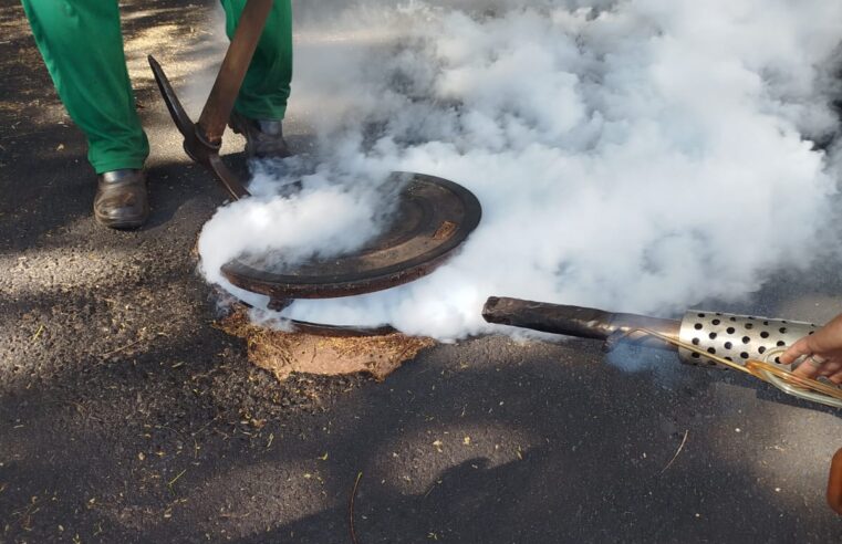 ✅ Prefeitura de Ibaté realiza dedetização em toda a cidade para combater pragas urbanas
