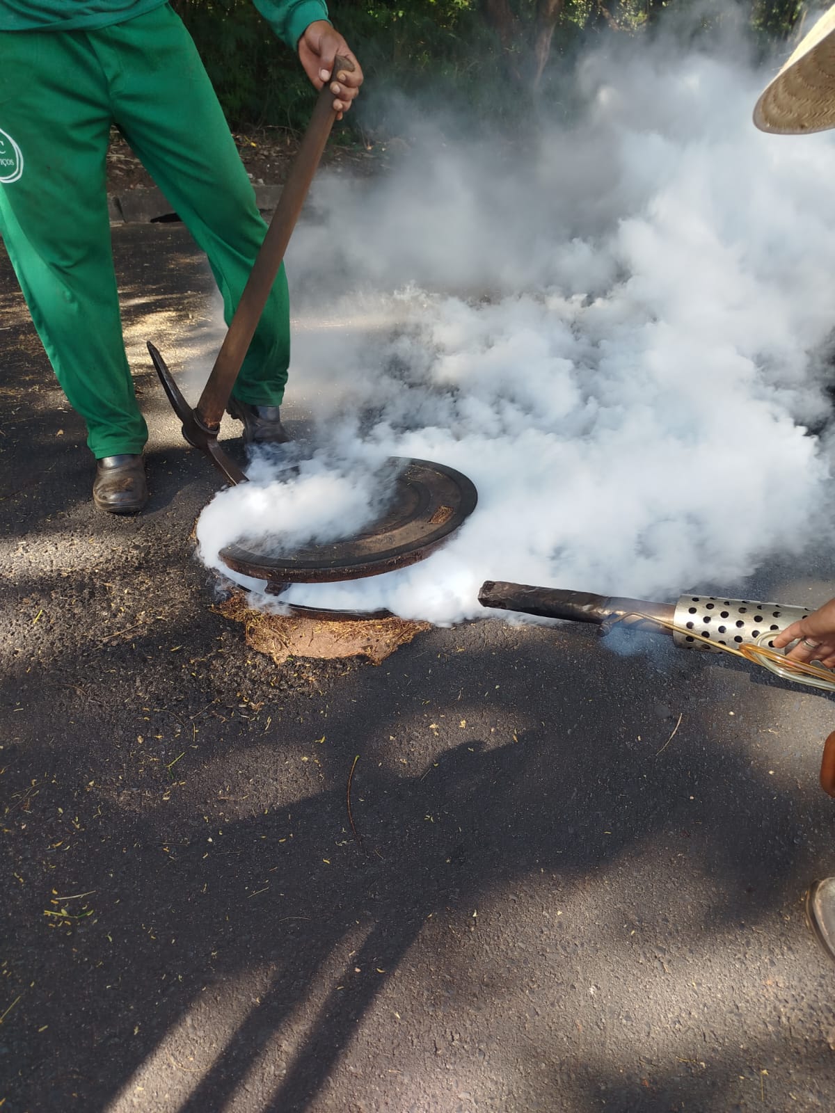✅ Prefeitura de Ibaté realiza dedetização em toda a cidade para combater pragas urbanas