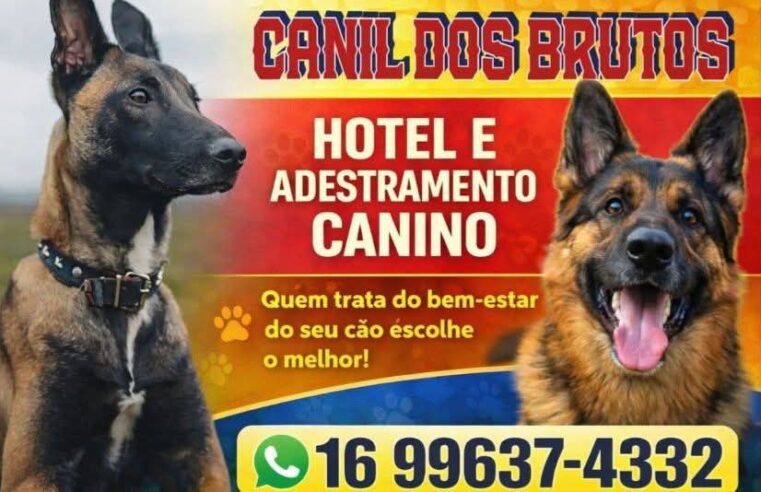 🐾 Disciplina, equilíbrio e mais qualidade de vida para o seu pet 🐾