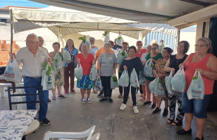 📌 Casa do Idoso de Ibaté recebe doação de cestas verdes e destaca parceria com o poder público