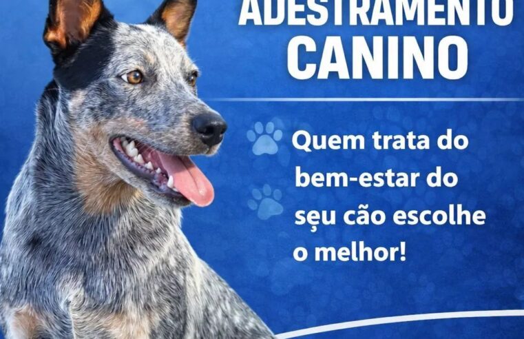 📌 Vai viajar no feriado de Tiradentes? Chicão cuida do seu pet com segurança e carinho