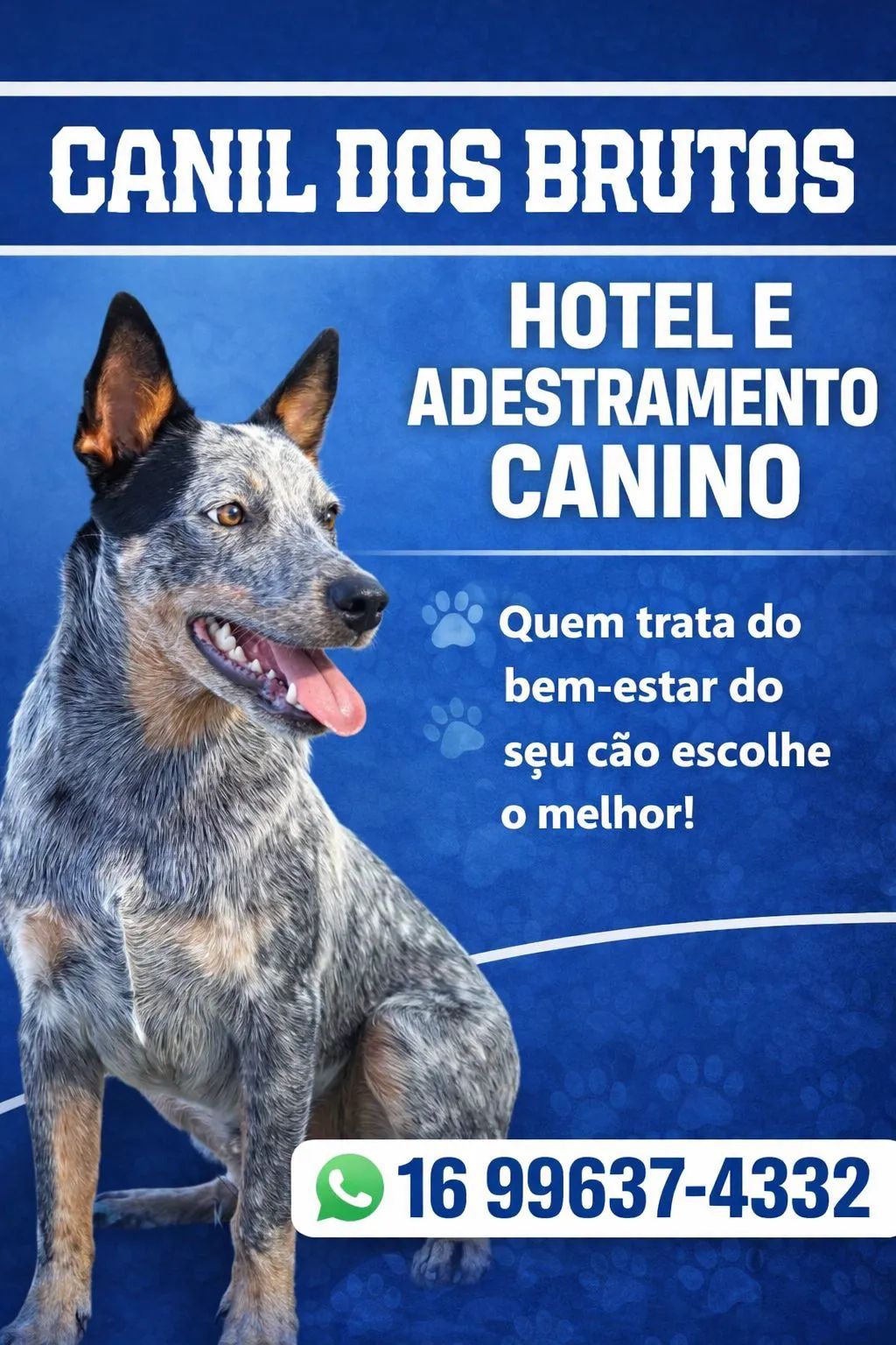 📌 Vai viajar no feriado de Tiradentes? Chicão cuida do seu pet com segurança e carinho