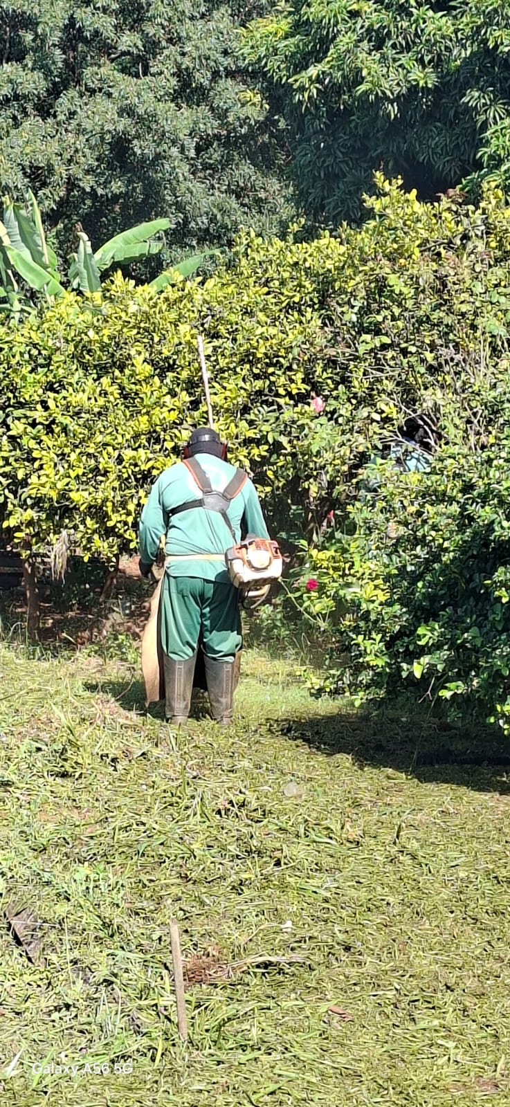 ✅ Equipes de Serviços Públicos realizam limpeza e roçagem no Centro de Convivência da Melhor Idade em Ibaté