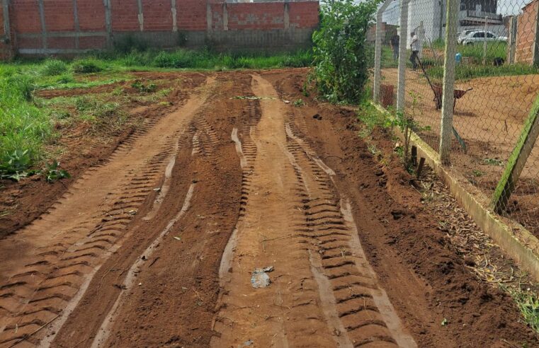 Prefeitura realiza limpeza no entorno de ONG e reforça apoio à causa animal em Ibaté