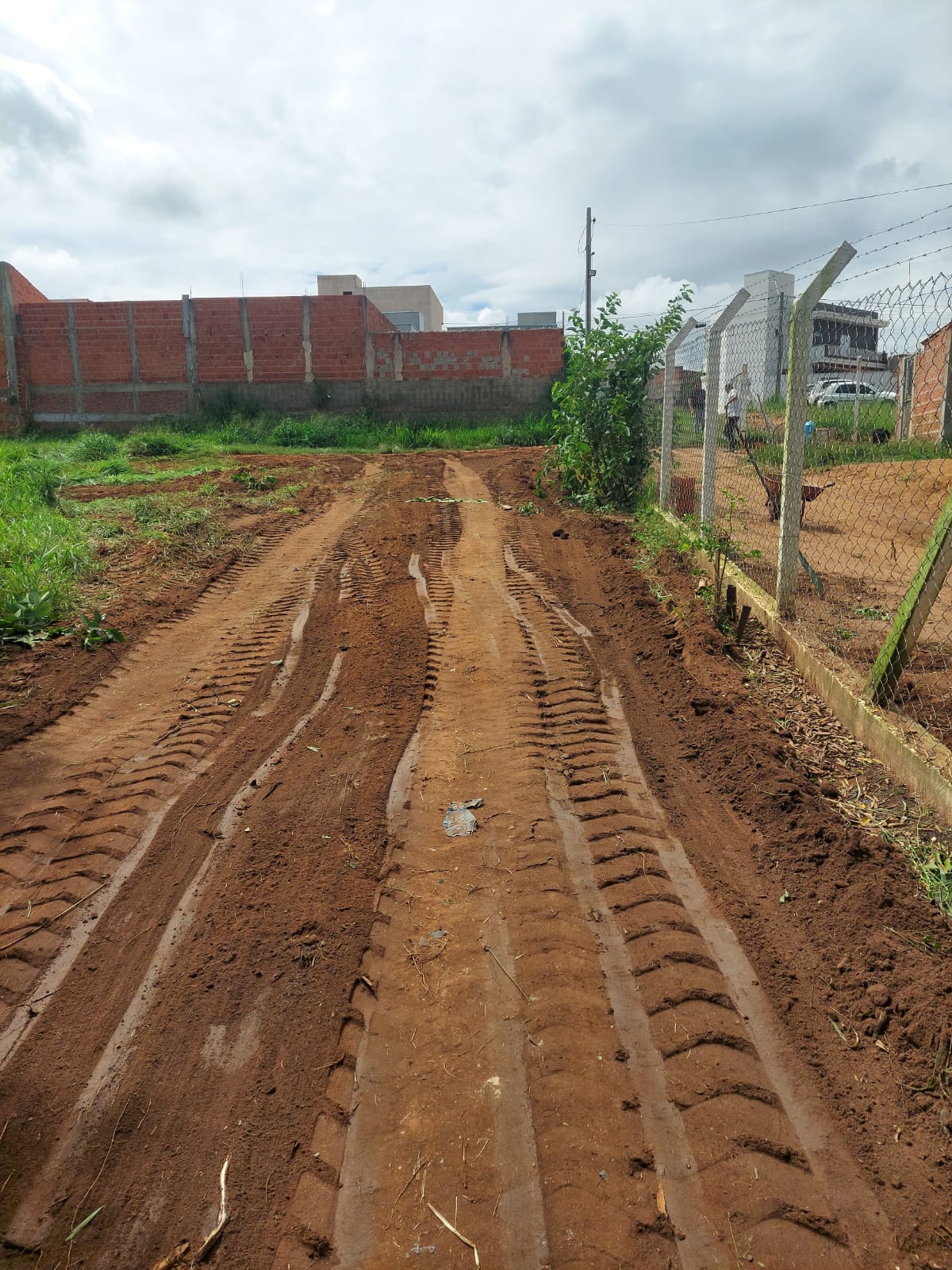 Prefeitura realiza limpeza no entorno de ONG e reforça apoio à causa animal em Ibaté