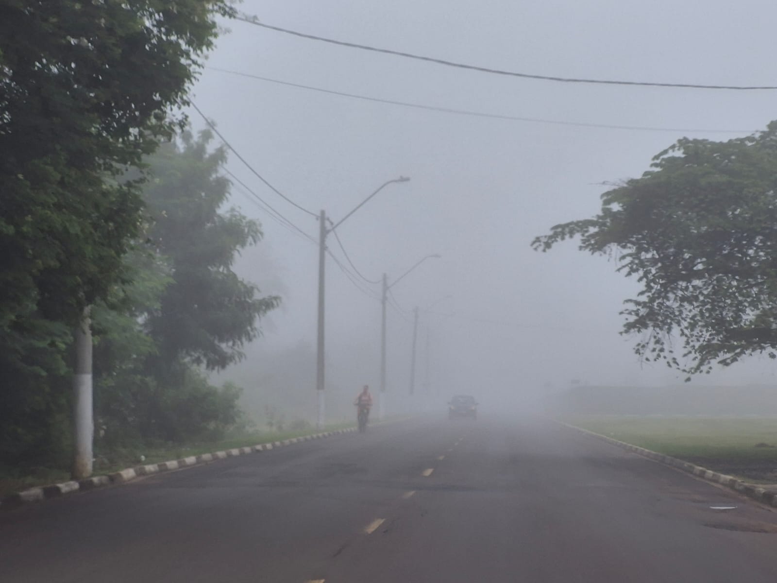 📌 Neblina intensa reduz visibilidade na rodovia Washington Luís em São Carlos