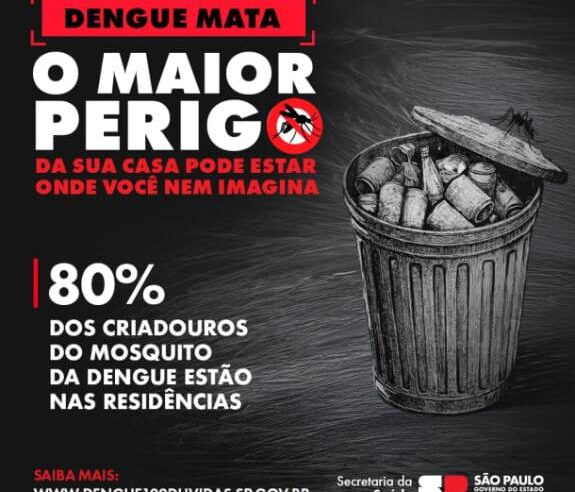 🚨 Alerta de saúde: dengue mata!🚨
