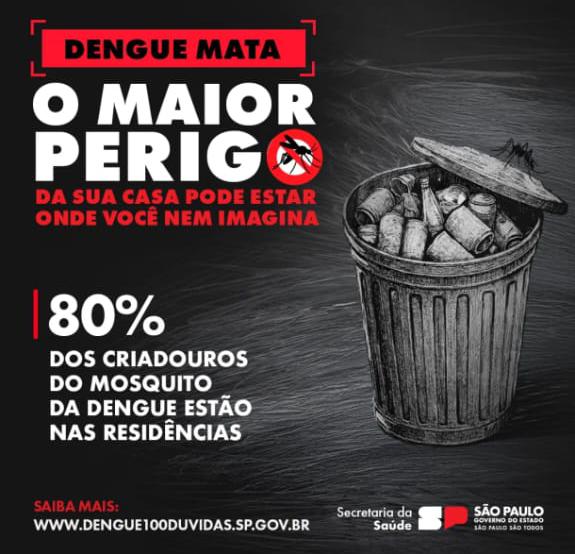🚨 Alerta de saúde: dengue mata!🚨