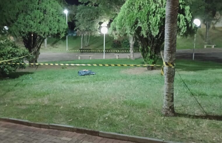 🚨 Ataque entre cães termina com disparo em praça de Ibaté