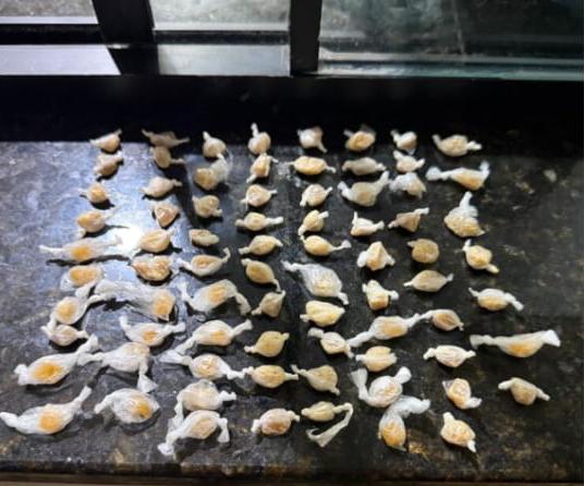 🚨 Homem é preso pela PM ao tentar descartar crack de ônibus na SP-215 em Dourado