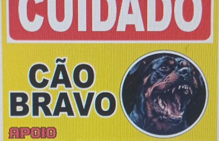 🐾 Já começou o treinamento no Chicão Adestrador 🐾
