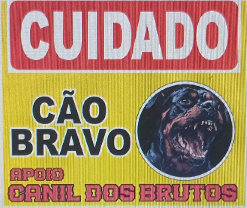 📌 Sinalização de presença de cães é essencial para prevenir acidentes, alerta o Chicao Adestrador