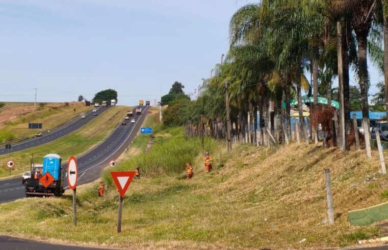📌 Após cobrança da Prefeitura, Ecovias realiza limpeza às margens da Washington Luís em Ibaté