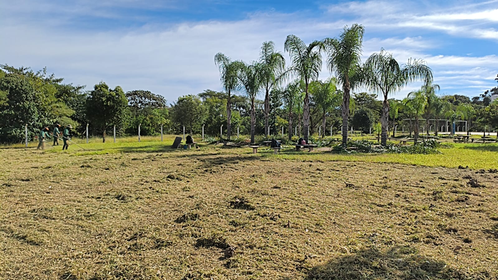 📌 Secretaria de Serviços Públicos intensifica limpeza e roçagem no Jardim das Palmeiras