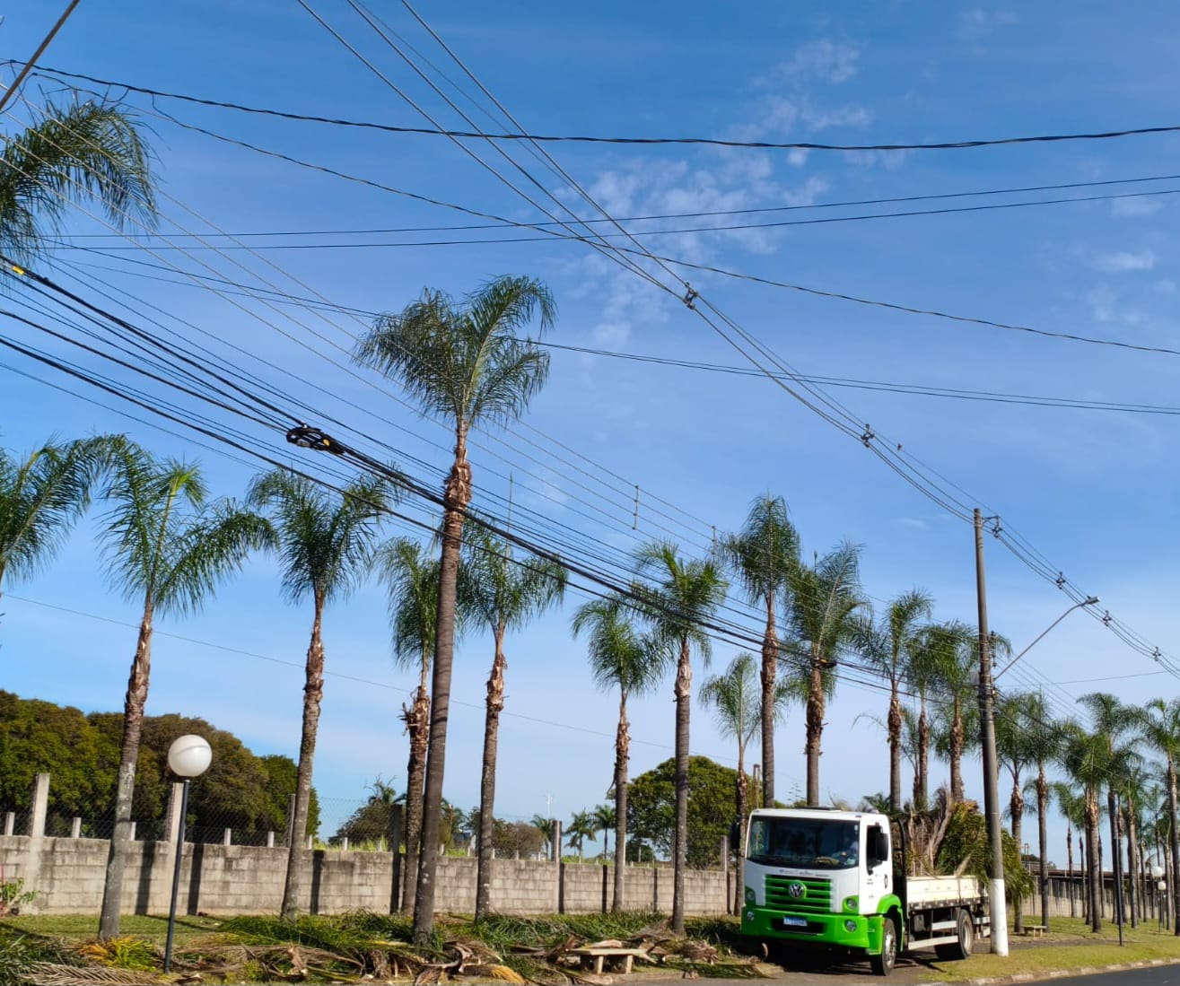 📌 Prefeitura de Ibaté realiza poda de Palmeiras em bairros da cidade
