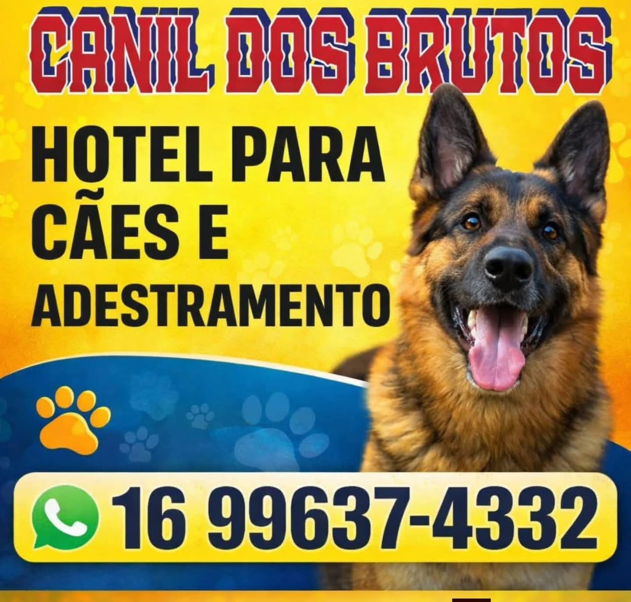🐶 Canil dos Brutos é referência em hotel para cães e adestramento, oferecendo todo o cuidado, carinho e estrutura que o seu melhor amigo merece! 🐾