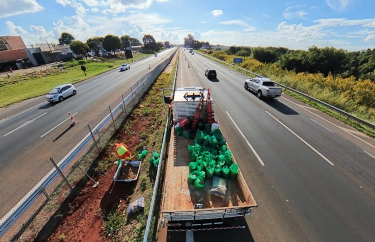 📌 Ecovias Noroeste Paulista divulga cronograma de obras e manutenção em rodovias da região