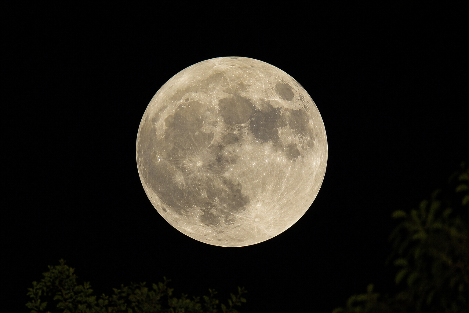 📌 Lua Cheia desta segunda-feira promete espetáculo no céu e poderá ser observada a olho nu