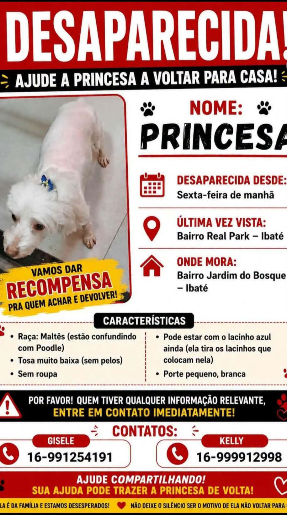 🚨 Atenção, Ibaté! Cadelinha desaparecida 🚨
