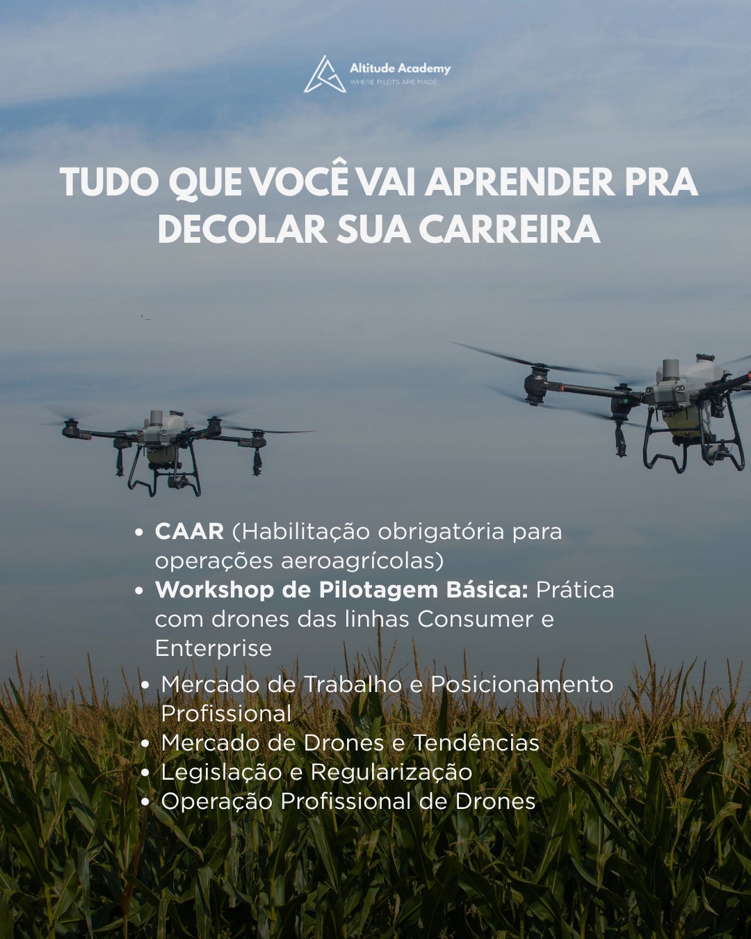 🚀📡 Quer entrar em uma das profissões que mais crescem no mercado? Essa é a sua chance!Se você é de Ibaté ou região, chegou a oportunidade de investir no seu futuro com uma formação completa na Altitude Academy.