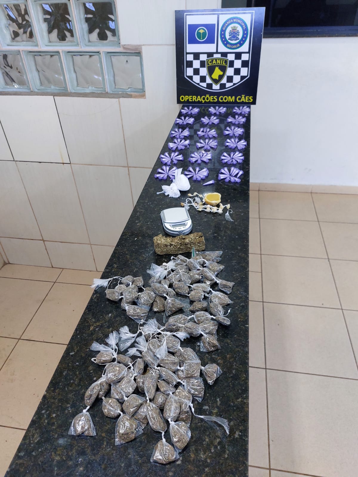 🚨 Guarda Municipal apreende grande quantidade de drogas após ocorrência de roubo em São Carlos