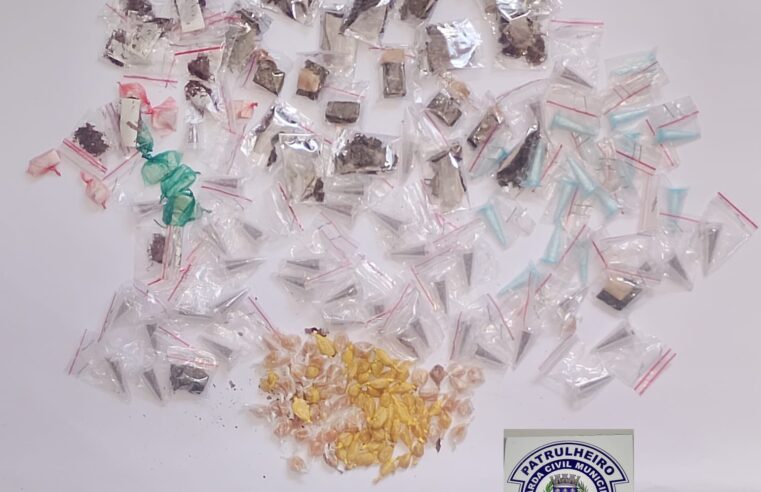 🚨 GUARDA MUNICIPAL APREENDE MAIS DE 180 PORÇÕES DE DROGAS ESCONDIDAS EM ÁREA DE MATA NO JARDIM ICARAÍ
