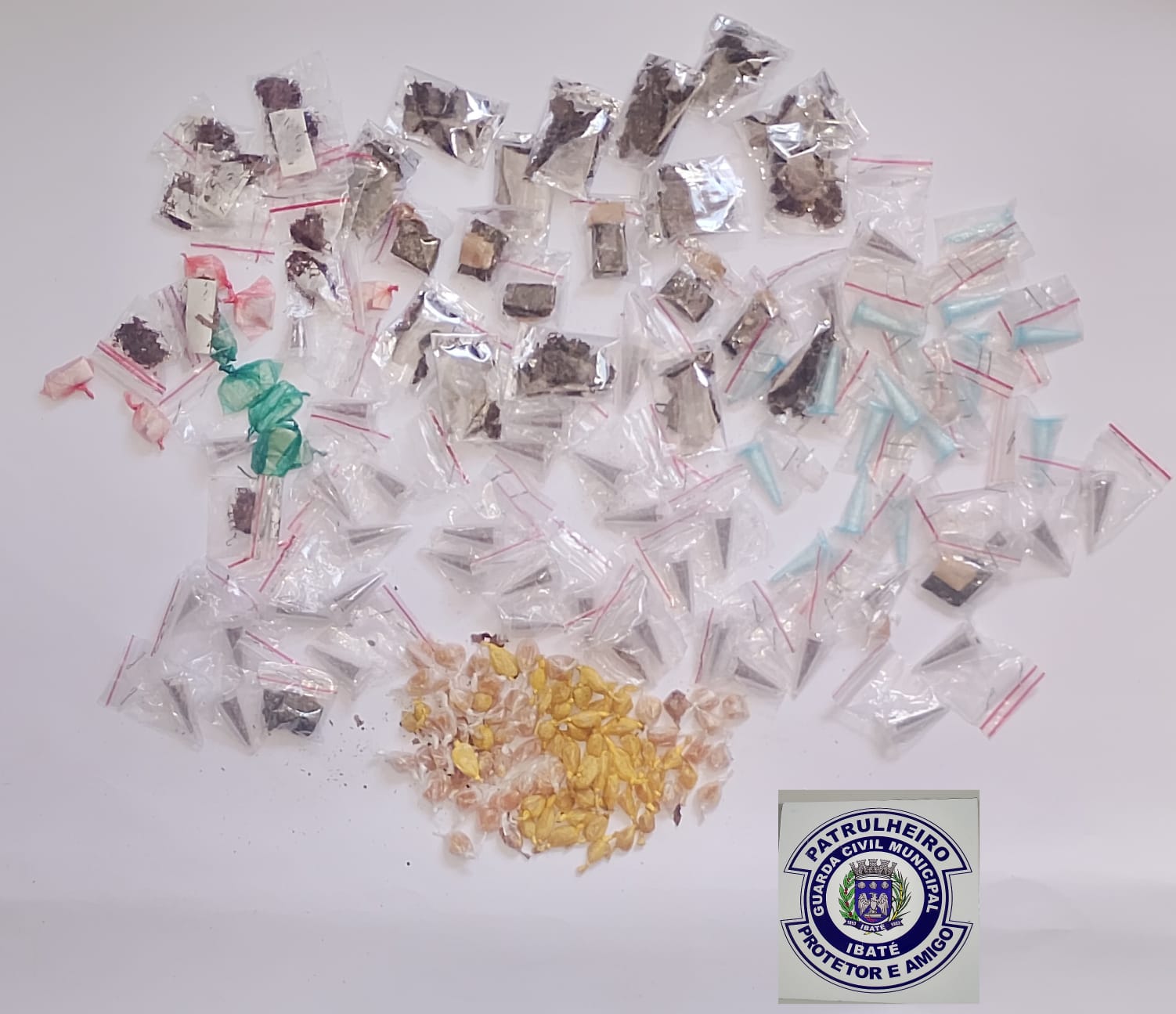 🚨 GUARDA MUNICIPAL APREENDE MAIS DE 180 PORÇÕES DE DROGAS ESCONDIDAS EM ÁREA DE MATA NO JARDIM ICARAÍ