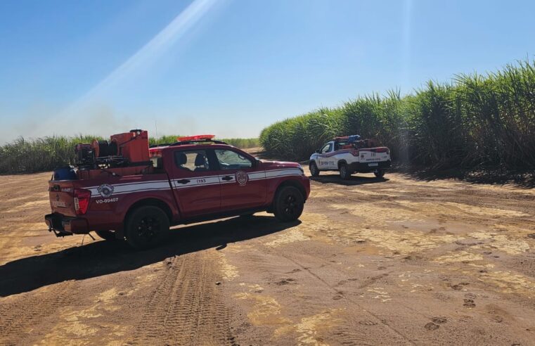 🚨 Defesa Civil de Ibaté age com rapidez e controla incêndio em canavial com apoio de equipes especializadas