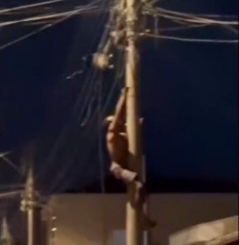 🚨 Homem é flagrado escalando poste para furtar fiação em São Carlos